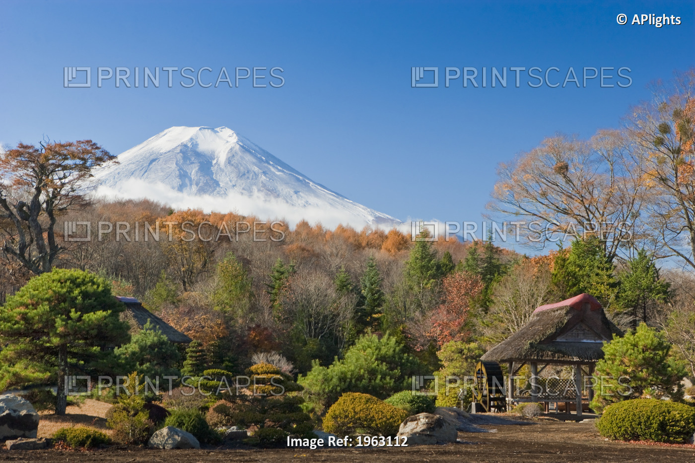 View Of Mount Fuji From A Japanese Garden; Japan