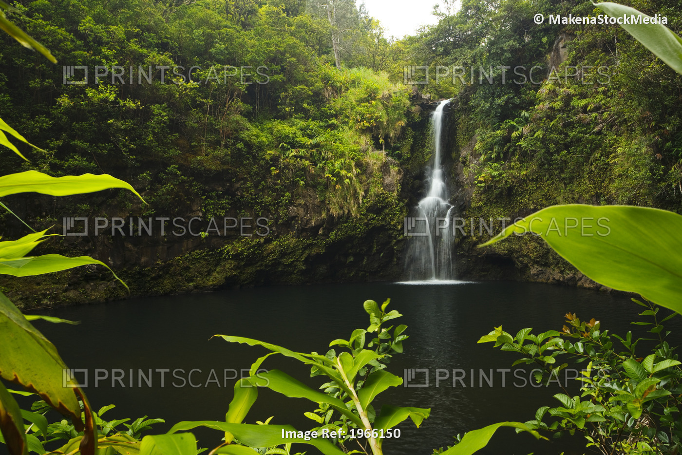 Hawaii, Maui, Hana, Beautiful Waterfall And Pool, Lush Greenery.