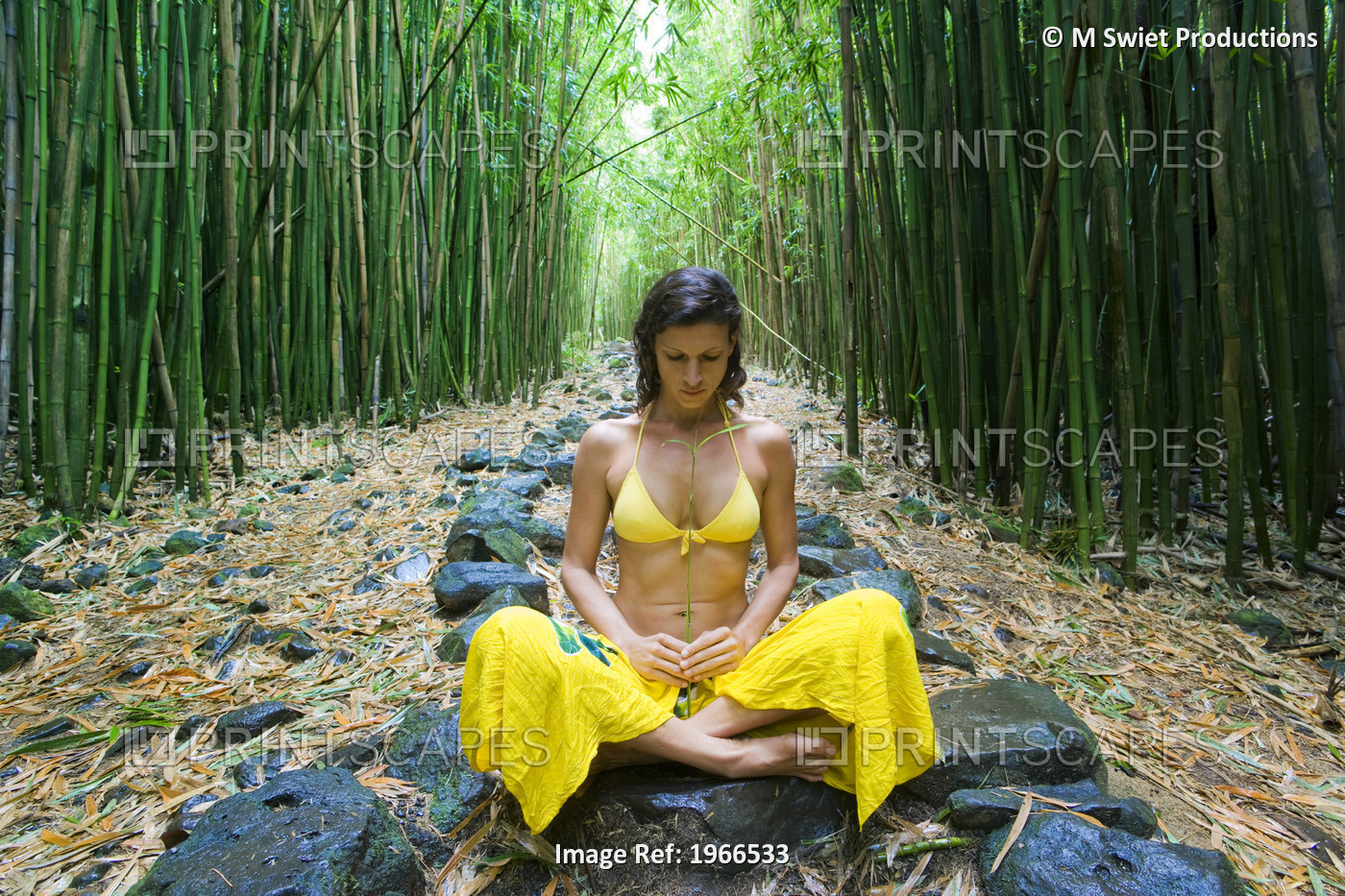 Hawaii, Maui, Kipahulu, Woman Meditating In Bamboo Forest.