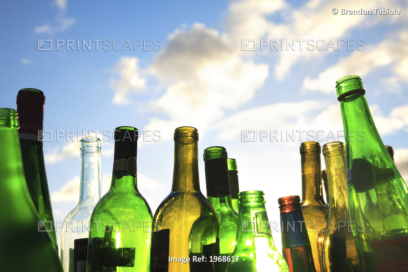 Hawaii, Oahu, Close Up Of Recyclable Glass Empty Wine And Beer Bottles
