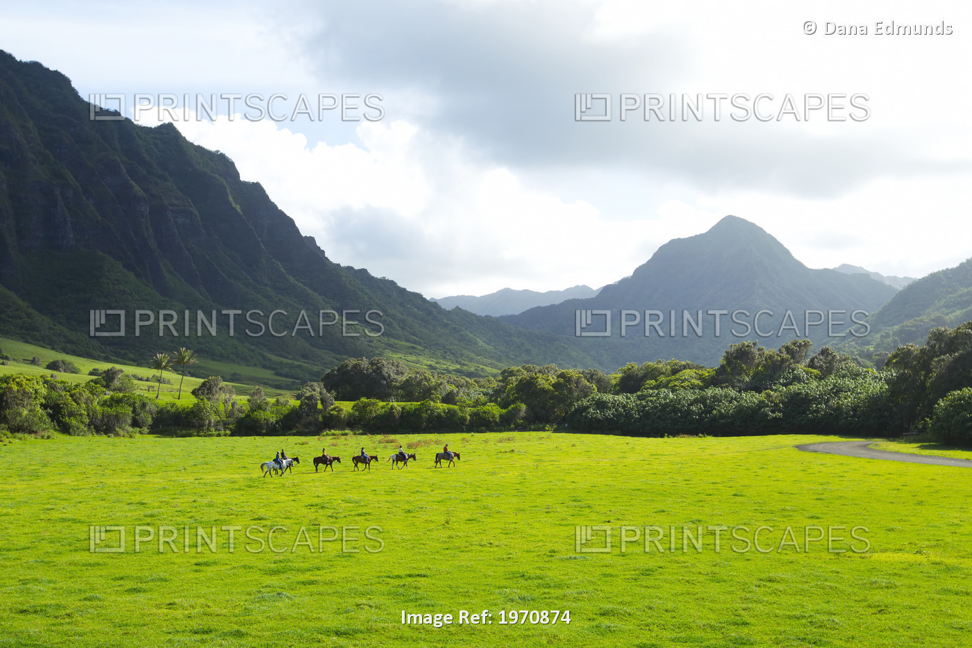 Hawaii, Oahu, Kualoa Ranch, Horseback Riders In An Open Field. (Editorial Use ...
