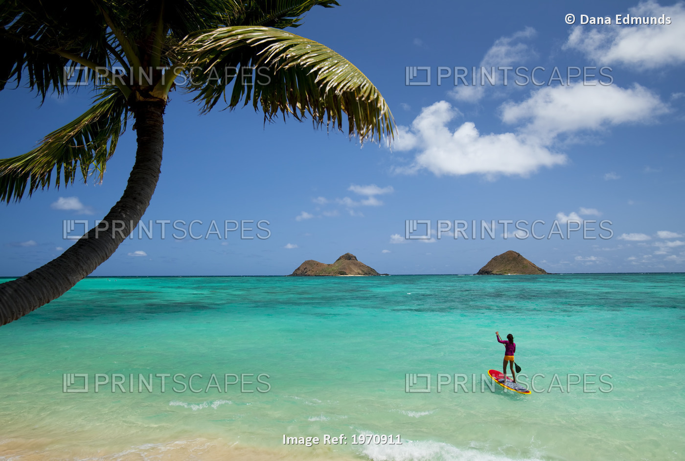 USA, Hawaii Islands, Oahu, Female Stand Up Paddler On Her Way To Mokulua ...
