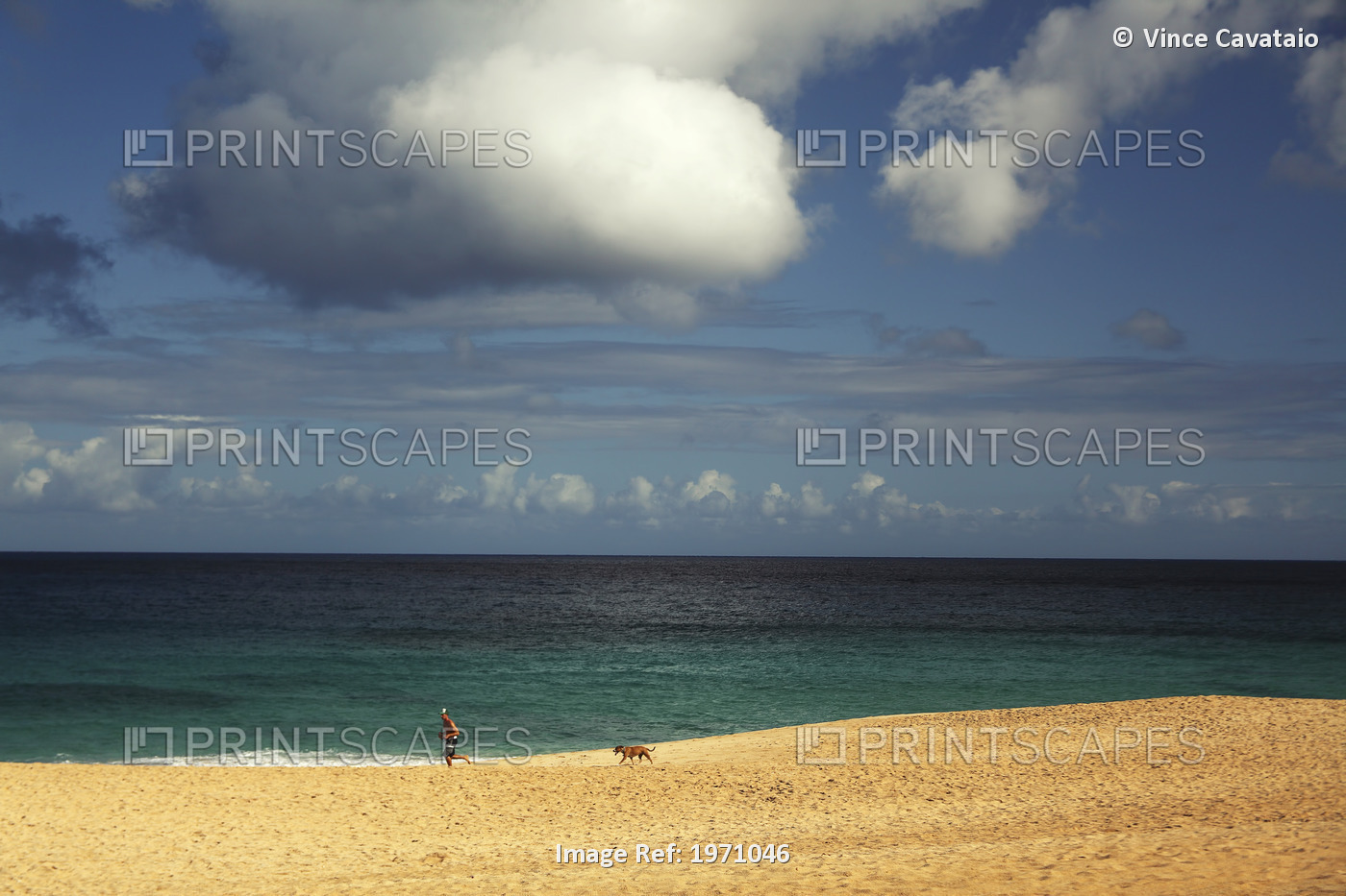 USA, Hawaii Islands, Oahu, Man And Dog Jogging On Beach; North Shore