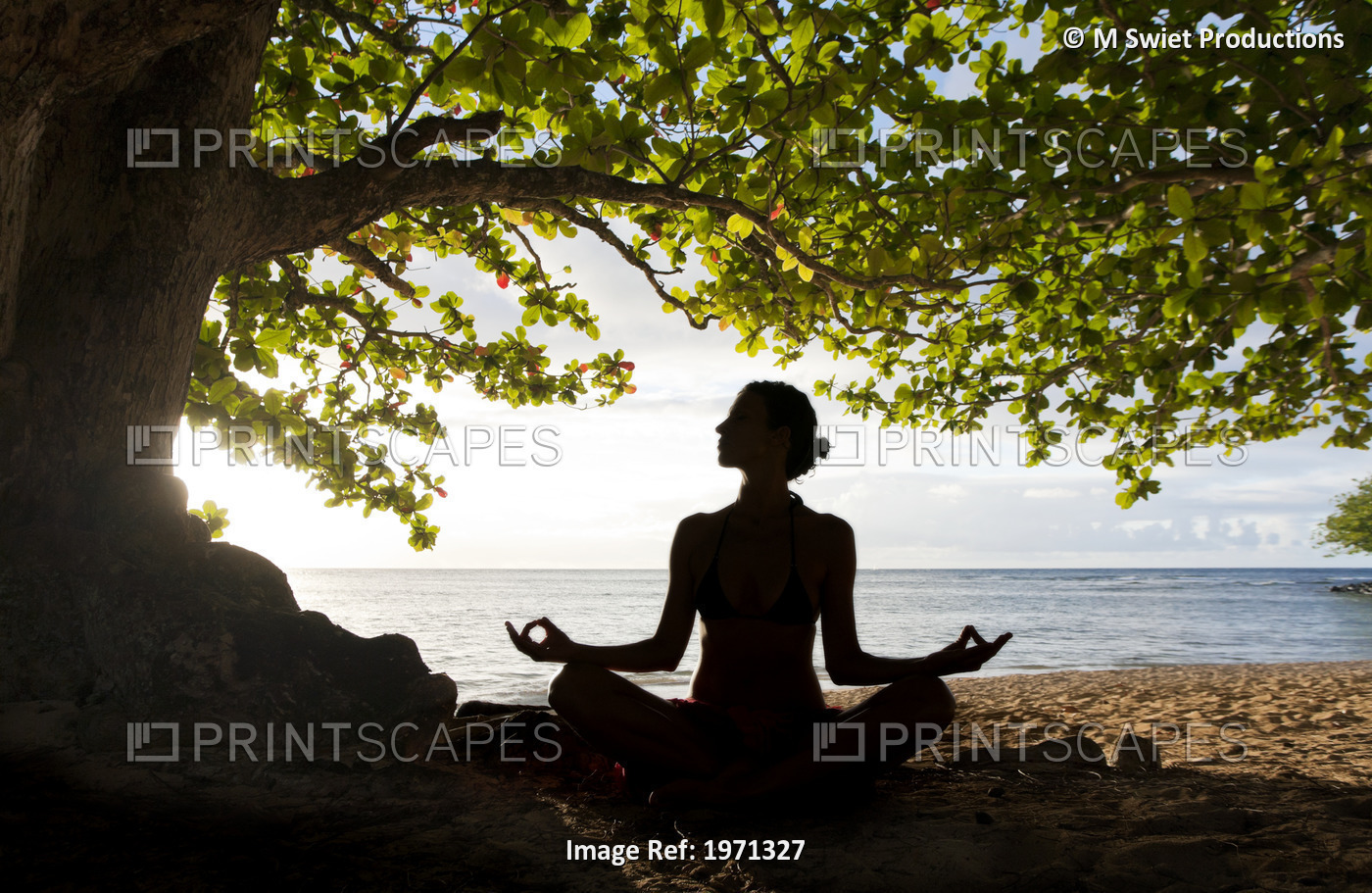 Hawaii, Kauai, Woman Doing Yoga On Beach Under Tree.