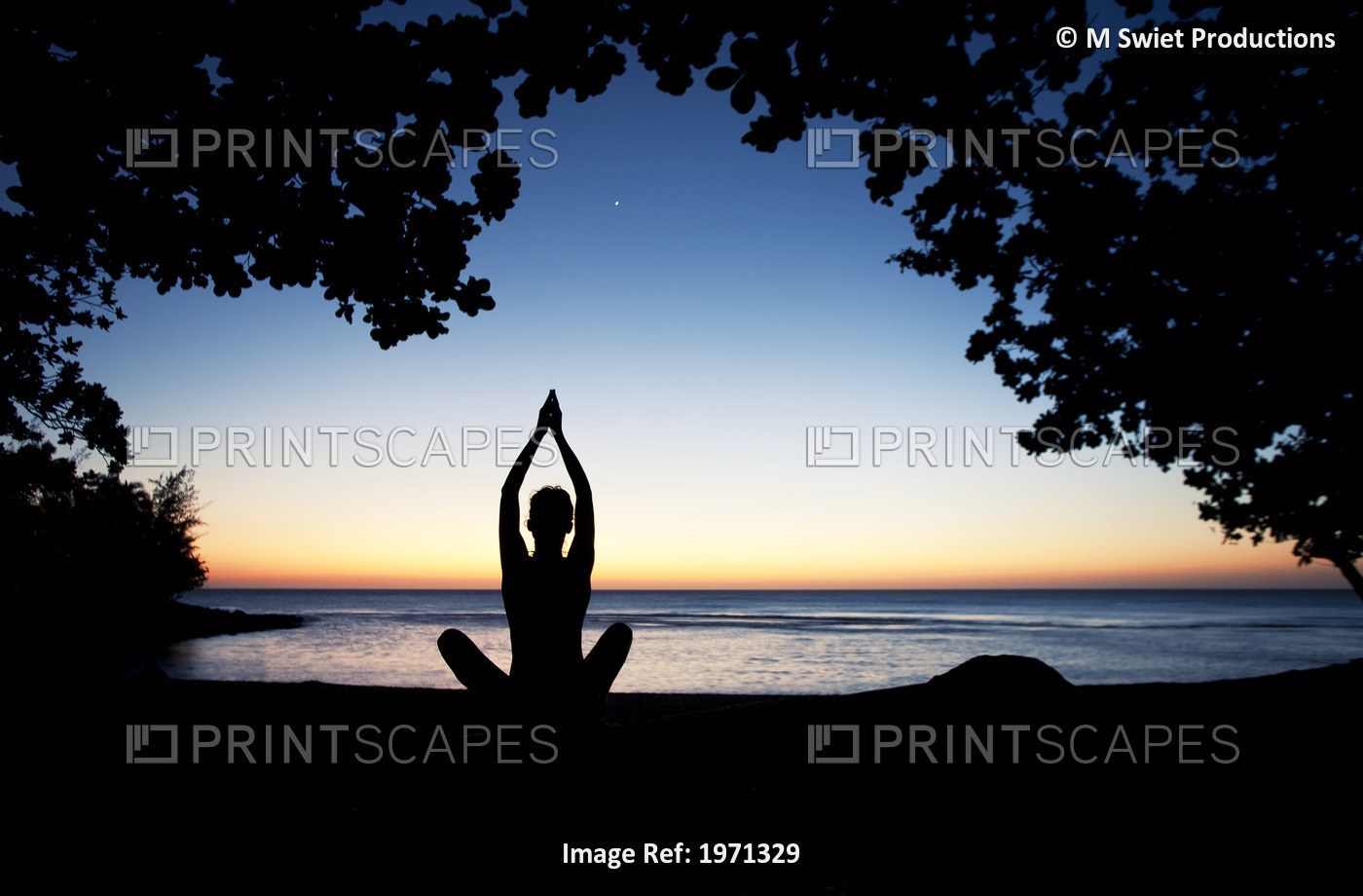 Hawaii, Kauai, Woman Meditating Along Ocean At Evening, Tree Silhouetted.