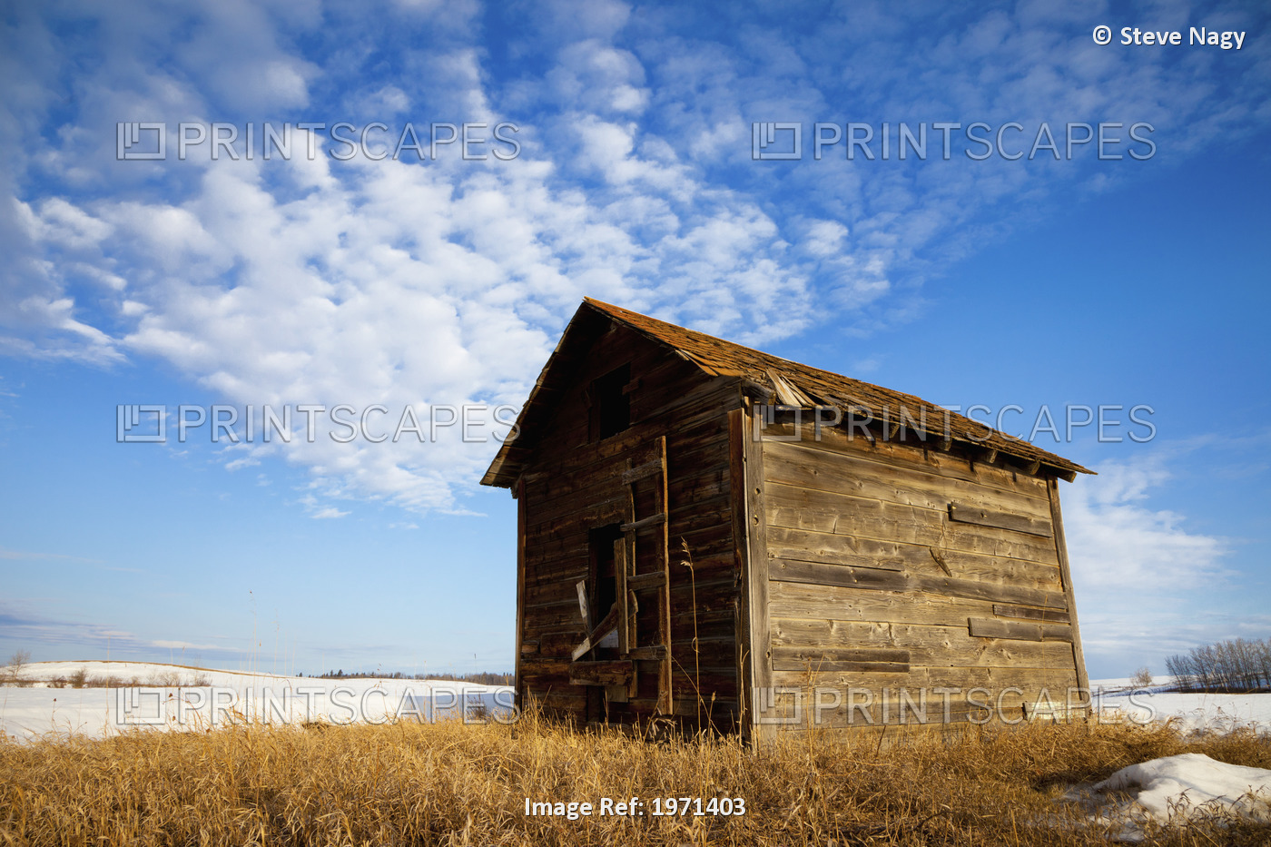 A Wooden Shed Stands Alone In A Snow Covered Field; Alberta, Canada