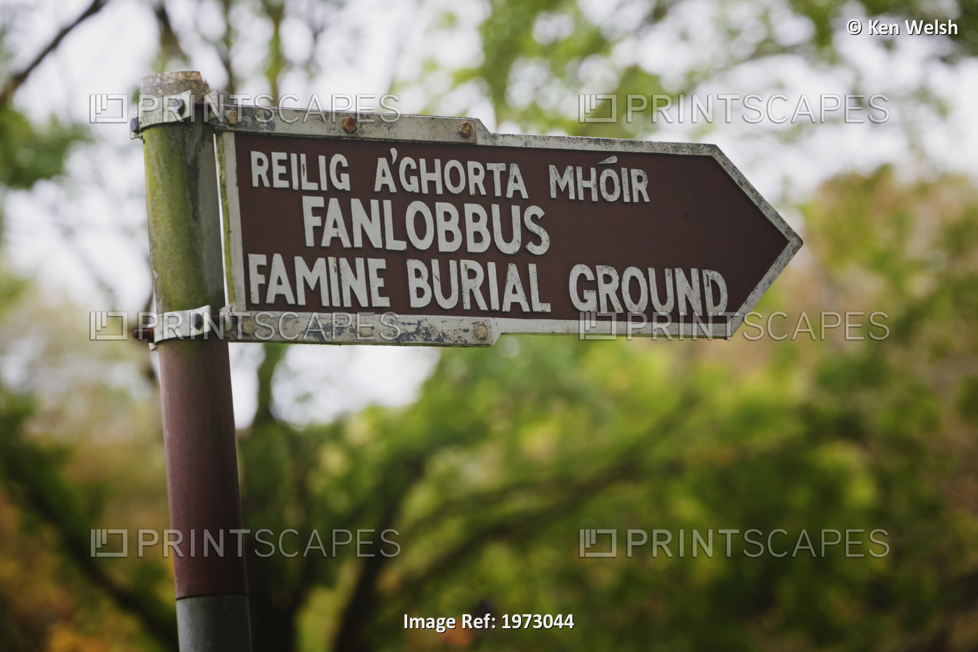 Sign Pointing To Famine Burial Ground Near Dunmanway; County Cork, Ireland