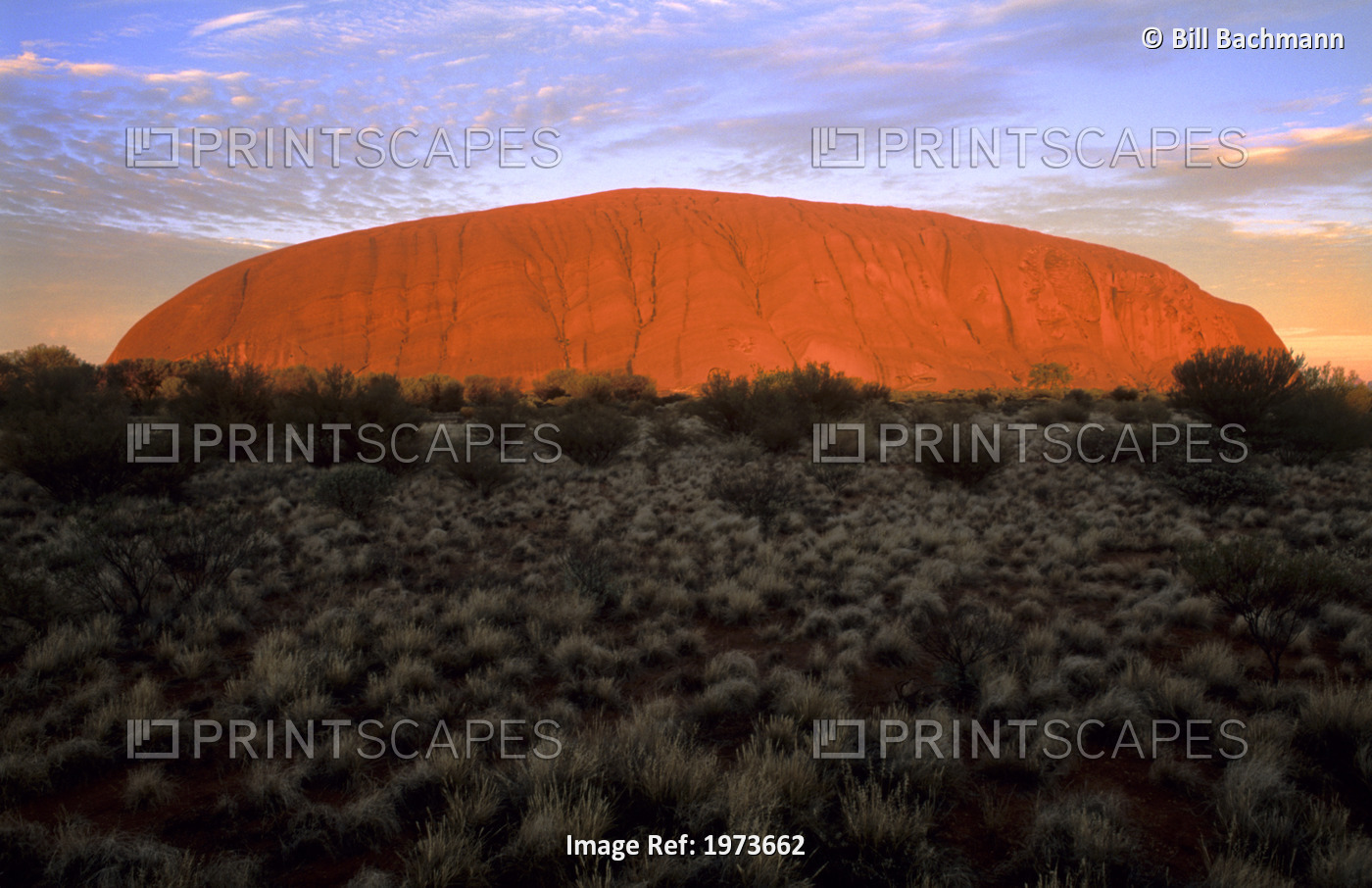 Australia, Northern Territory, Yulara, Uluru-Kata Tjuta National Park, Ayer's ...