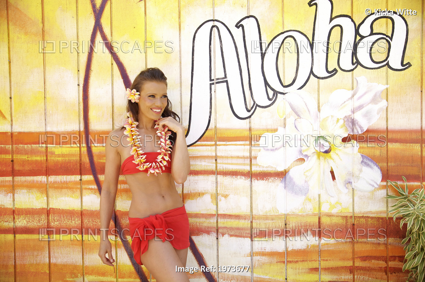 Hawaii, Kauai, Kapaa, Beautiful Woman Dancing Hula On A Beautiful Painted ...