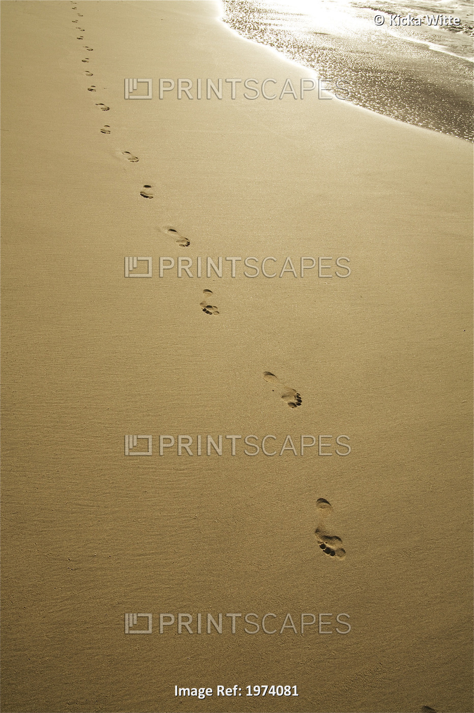 Hawaii, Kauai, Footprints In The Sand.