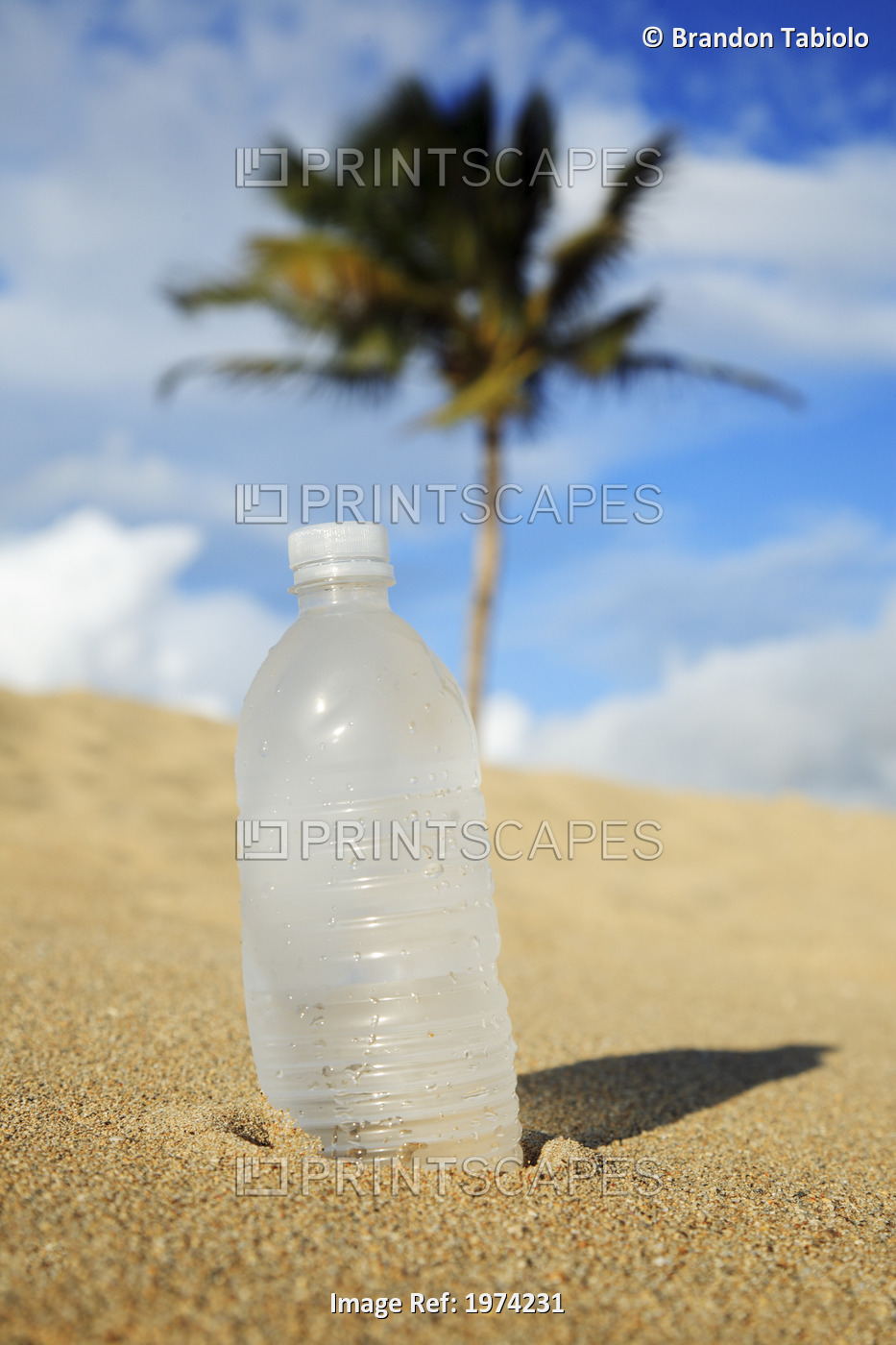 Hawaii, Oahu, Bottle Of Water On The Beach.