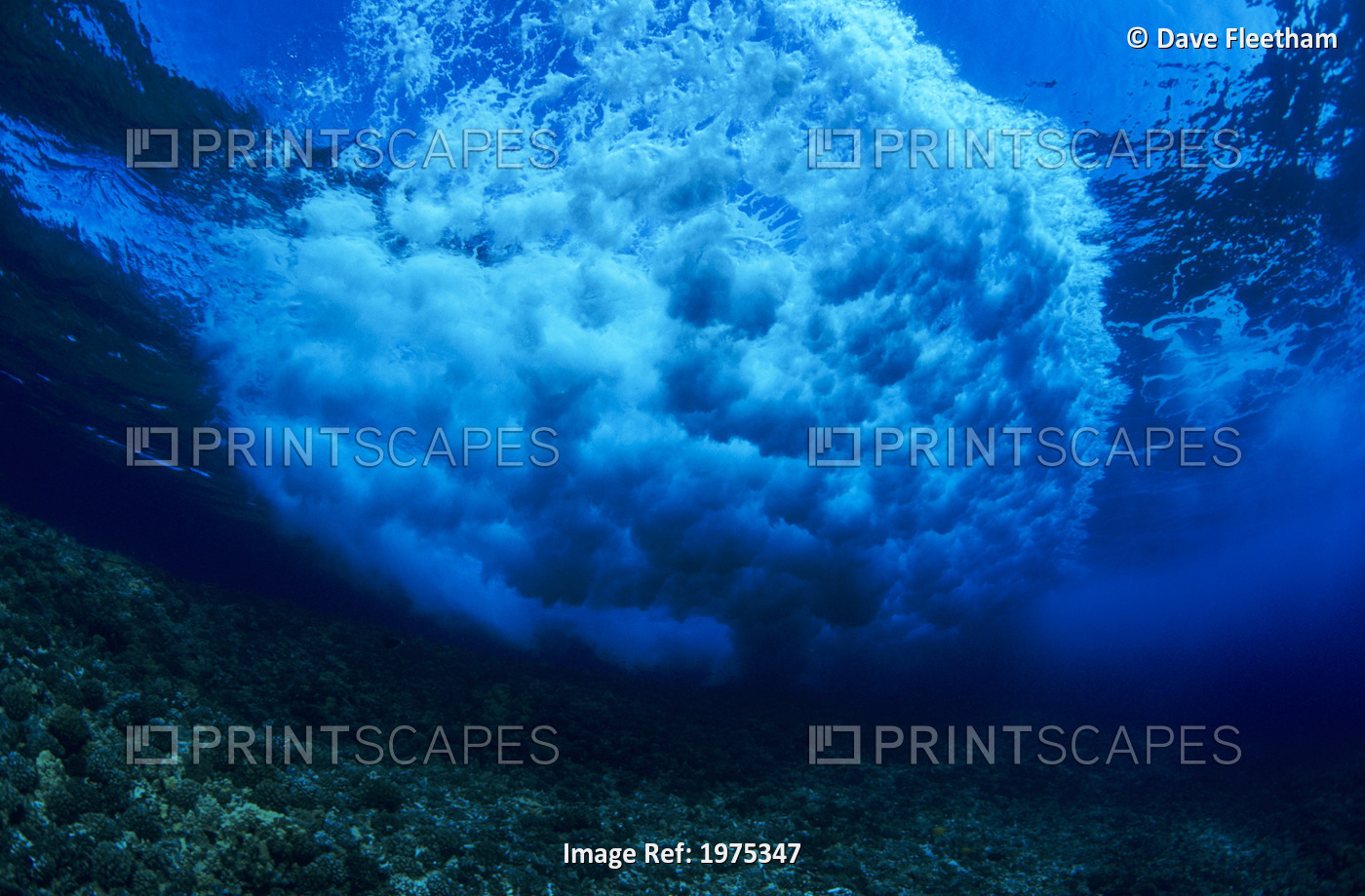 Hawaii, Underwater View Of Wave Breaking Over Shallow Coral Reef, Circular ...