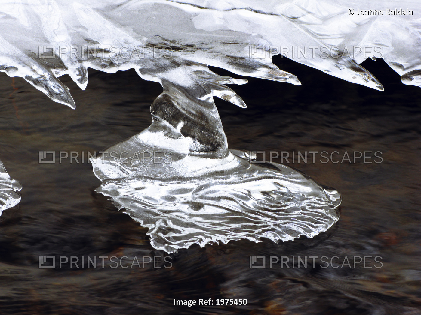 Starship, Massachusetts, Seekonk, Caratunk Wildlife Refuge, Close-Up Of Ice ...