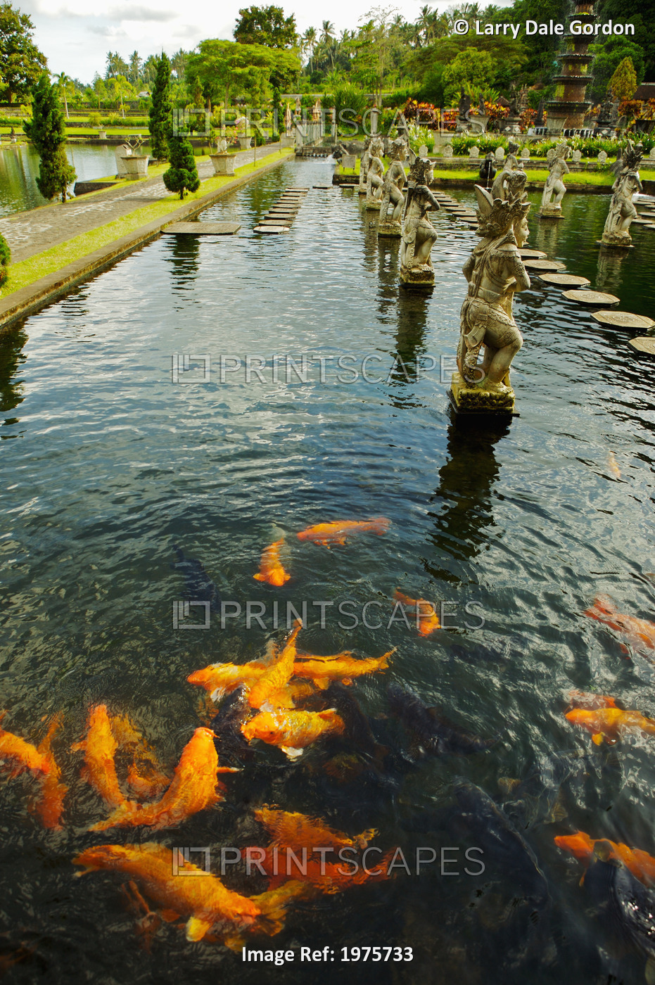 Indonesia, Bali, Koi Fish In Pond; Karangasem, Tirtagangga Water Palace Gardens