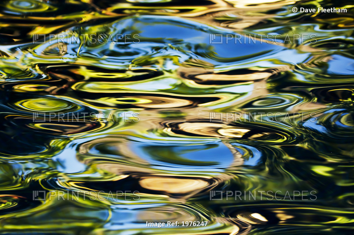 Hawaii, Maui, Abstract View Of Colorful Reflections On Calm Water.