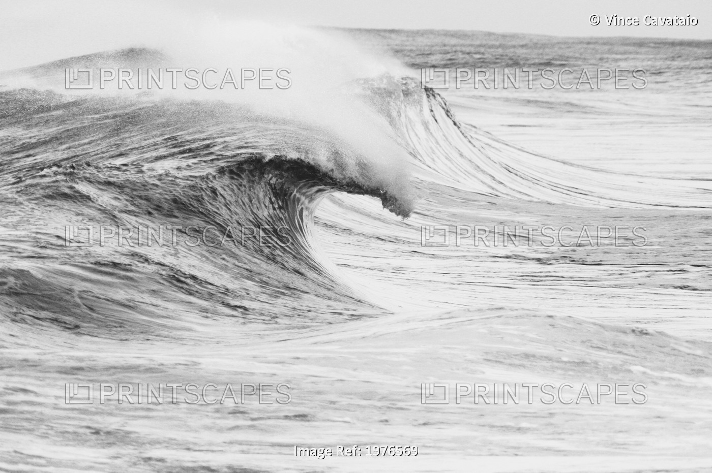 Hawaii, Oahu, Beautiful Wave Breaking (Black And White Photograph).