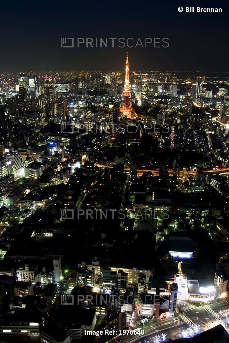 Japan, Roppongi; Tokyo, Tokyo Tower And City Lights From Tokyo Observation Deck