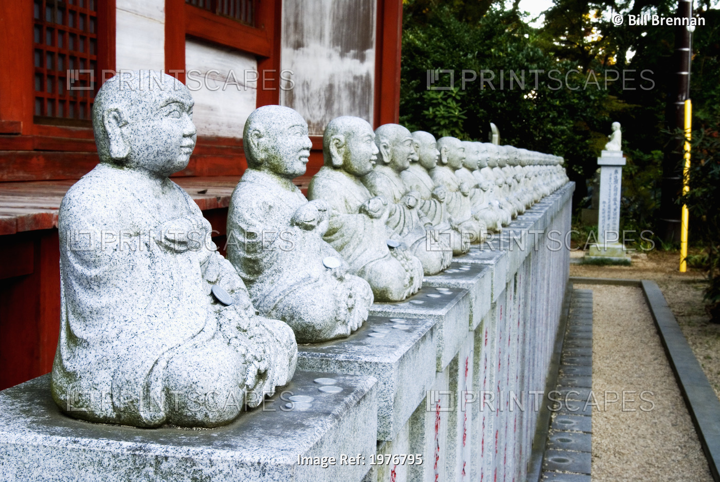 Japan, Rows Of Small Buddha Statues; Tokyo, Yakuoin Temple, Takao Mountain ...
