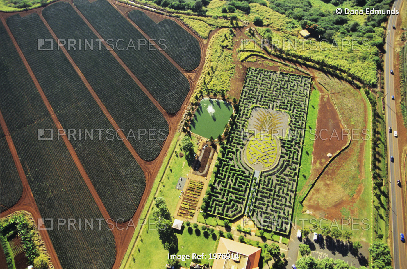 Hawaii, Oahu, Wahiawa, Dole Pineapple Plantation, Aerial Of Pineapple Maze.