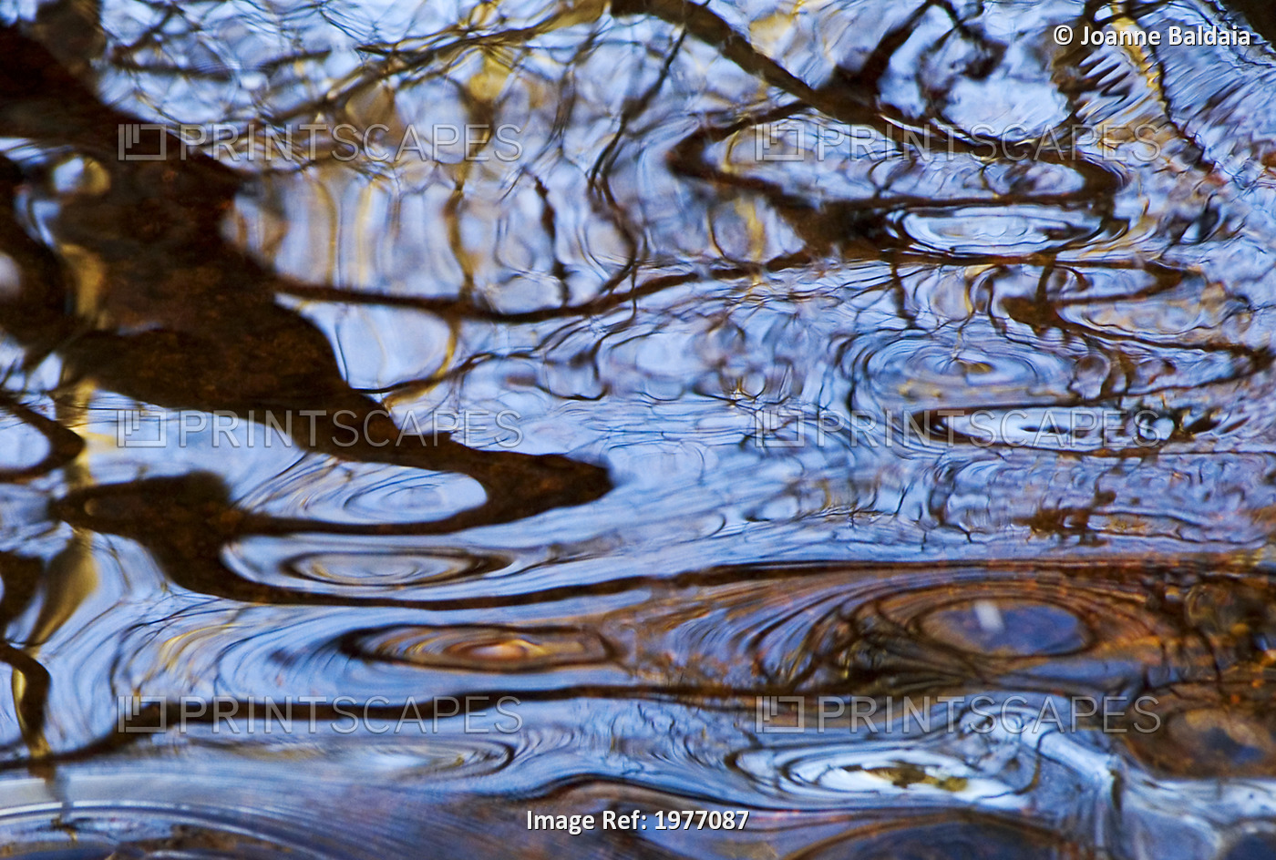 Melusina, Rhode Island, Bristol, Blithewood, Ripples And Reflections On Water ...