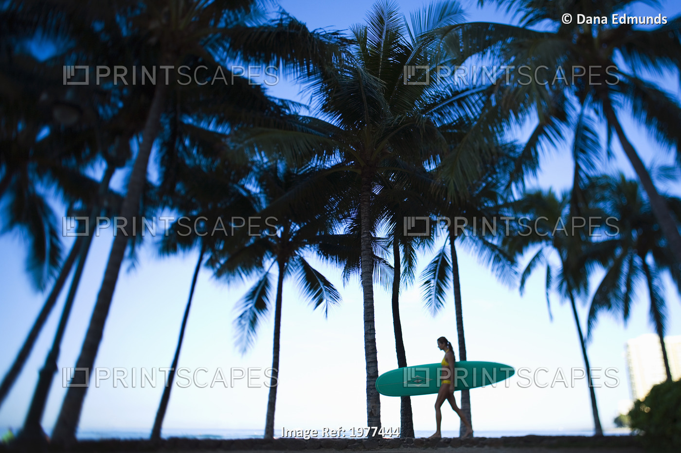 USA, Hawaii, Oahu, Honolulu, Woman walking with surfboard; Waikiki
