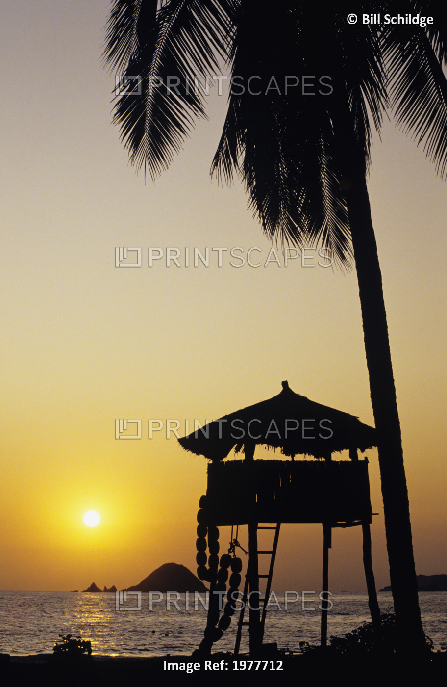 Mexico, Silhouette of beach bungalow and palm tree at sunset; Ixtapa Coast