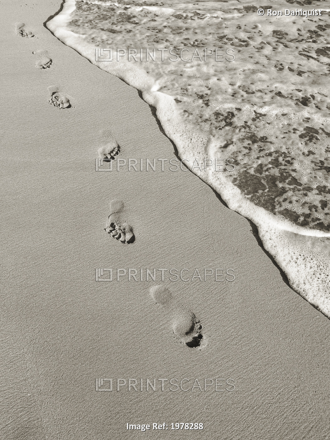 Hawaii, Maui, Makena State Park, Oneloa Or Big Beach, Footprints In The Sand ...