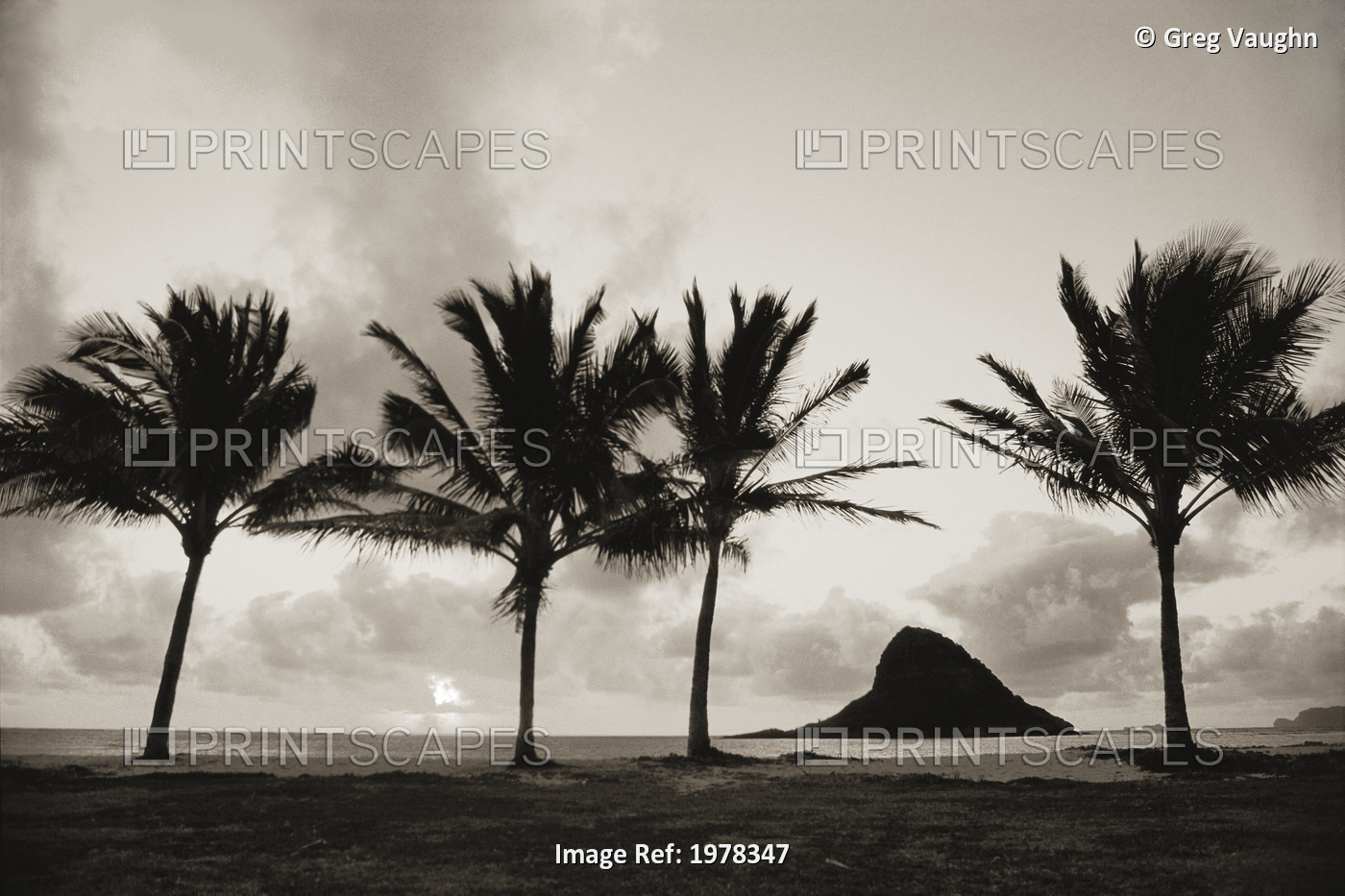 Hawaii, Oahu, Sunrise At Chinaman's Hat, Silhouetted Palms (Sepia Photograph).