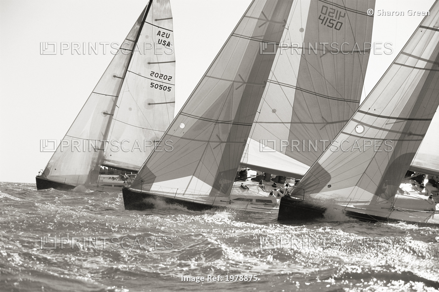 Key West Race Week, Three Yachts On Shimmering Ocean (Sepia Photograph).
