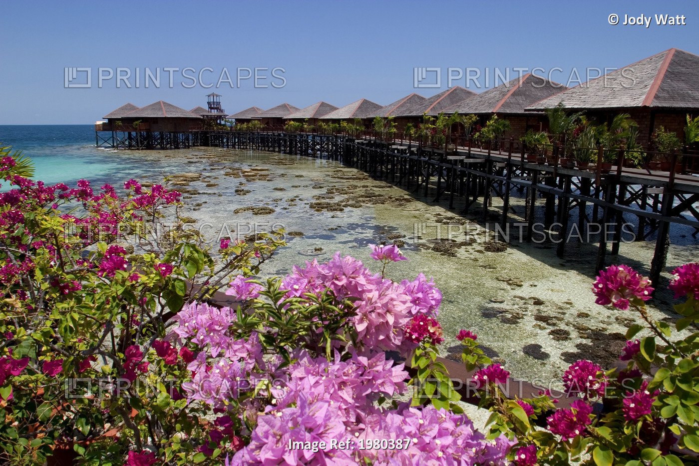 Malaysia, Bougainvillaea in front of Overwater Bungalows at Sipidan Water ...