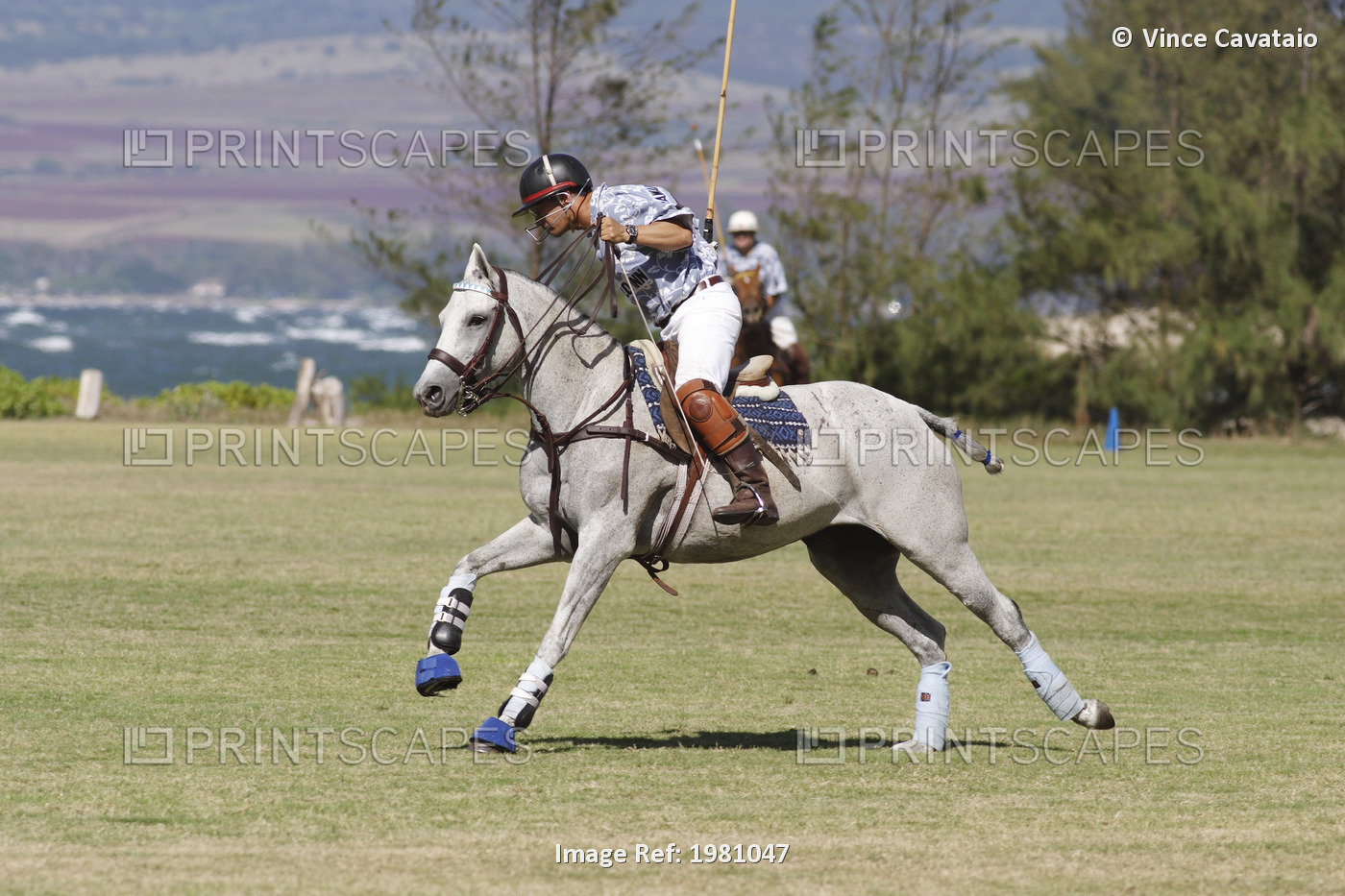 USA, Hawaii, Oahu, Side view of man playing polo ; North Shore