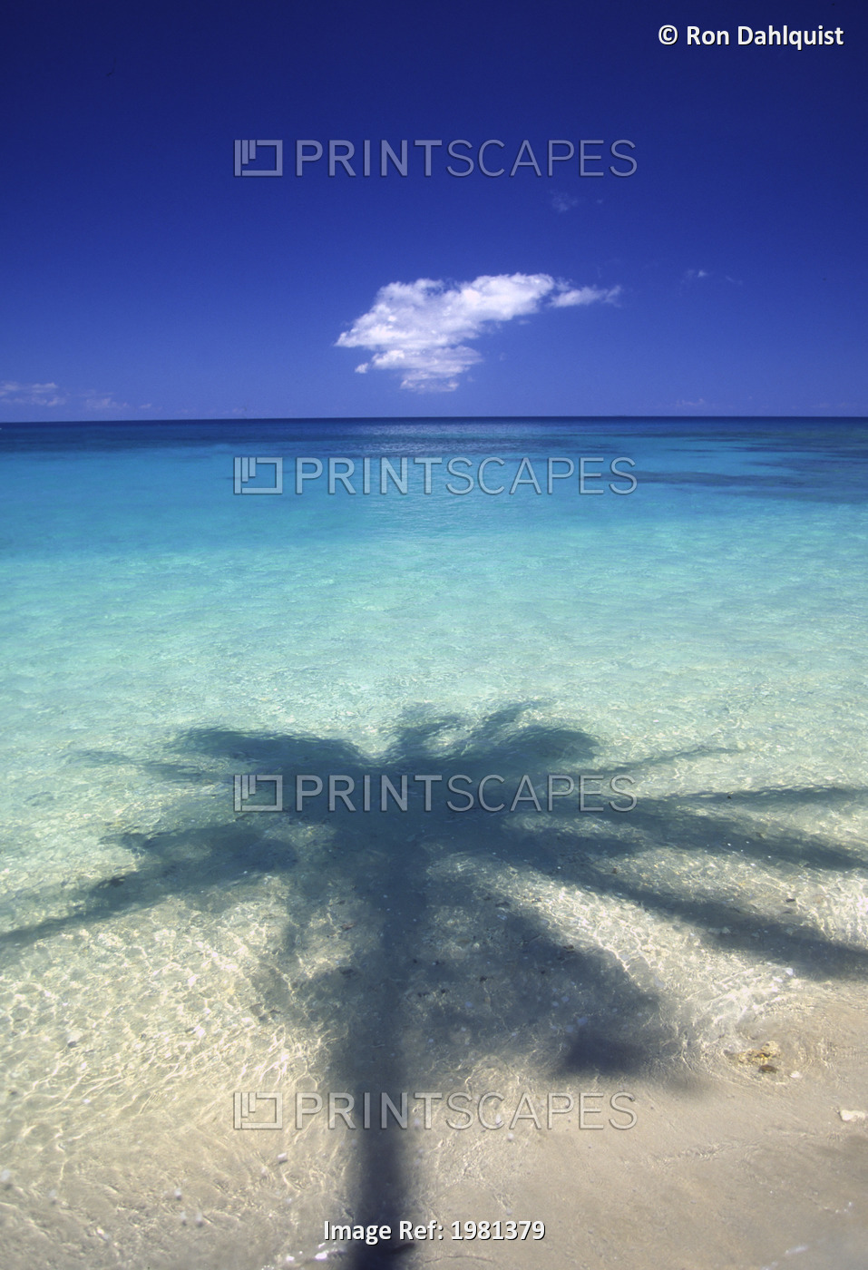 Palm Tree Shadow Cast Onto Turquoise Water Of A Beautiful Tropical Lagoon.