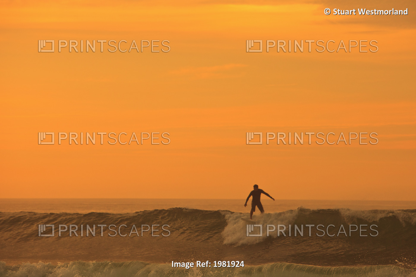 A Surfer On A Wave At Dusk; Baja California Sur Mexico