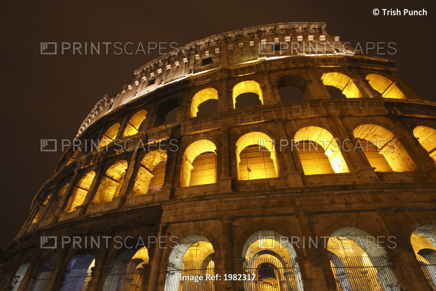 Night Lights Of The Colosseum; Rome Lazio Italy