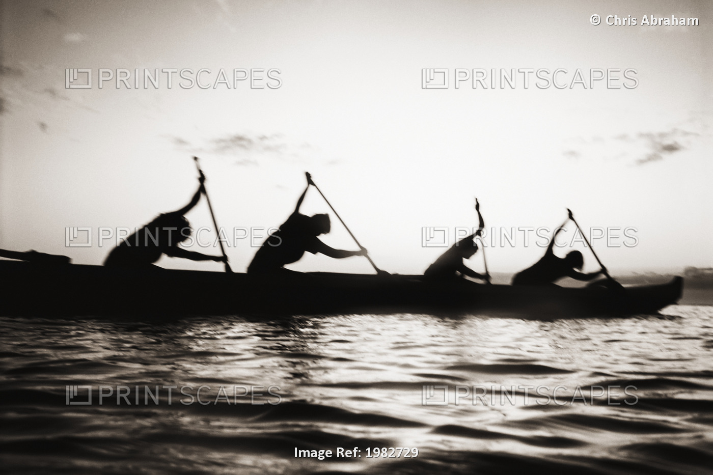 Hawaii, Molokai To Oahu Canoe Race, Paddlers Silhouetted At Sunset (Black And ...