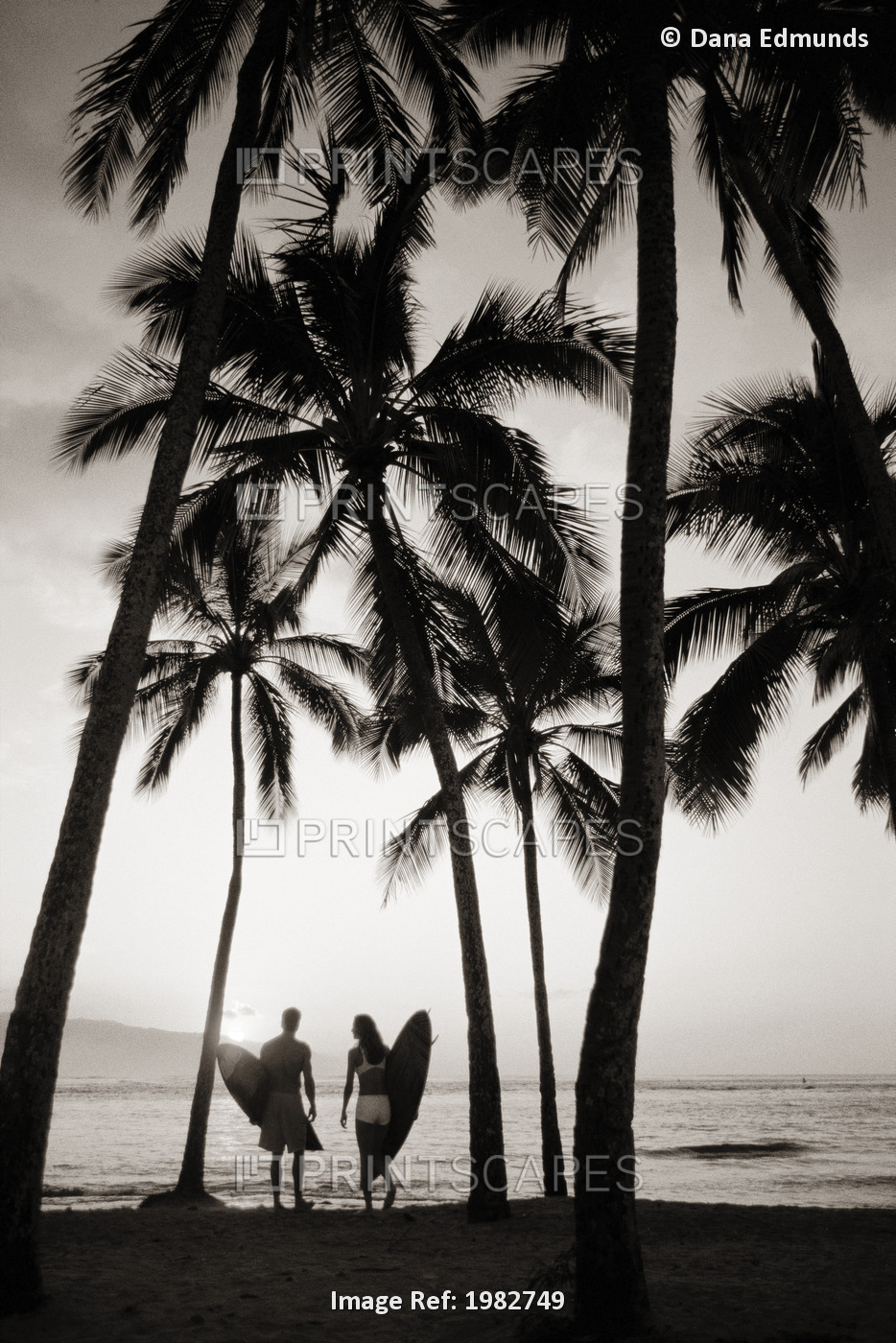 USA, Hawaii, Oahu, Rear view of couple with surfboards among palm trees on ...
