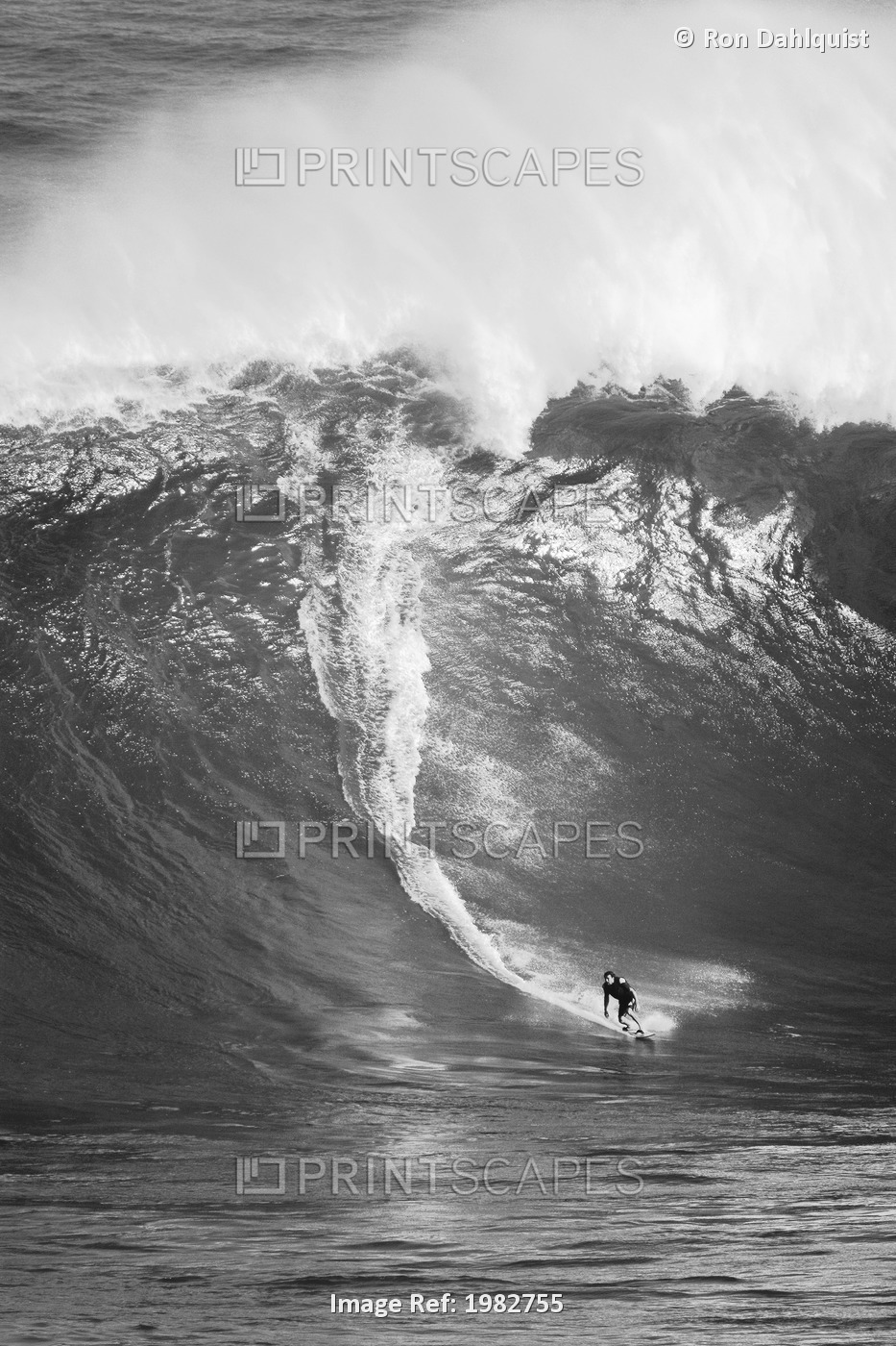 Hawaii, Maui, Jaws Aka Peahi, Haroldo Ambrosio Surfs Huge Wave (Black And White ...