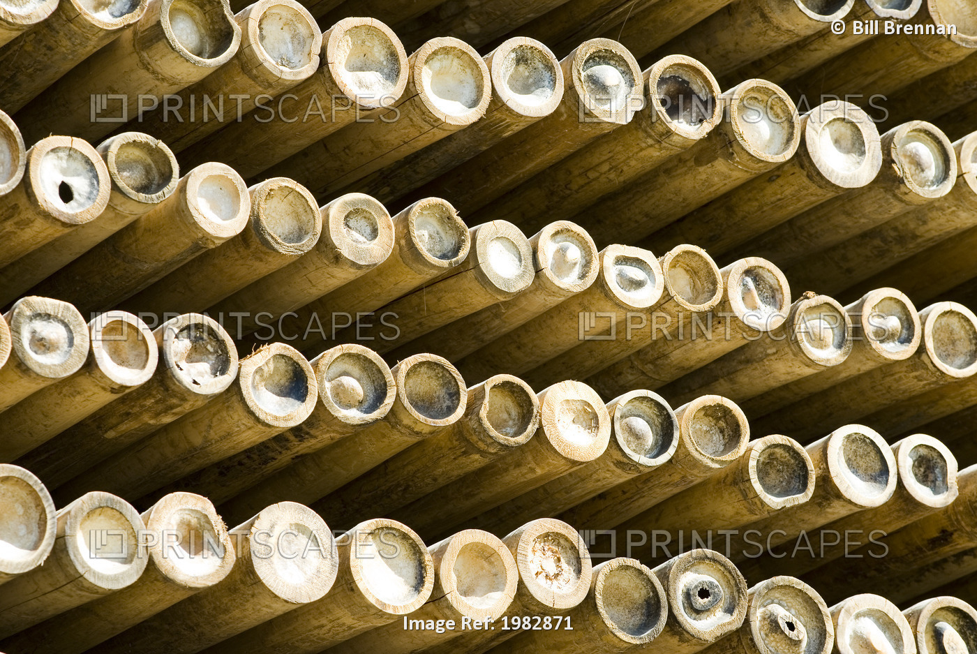 Bamboo sticks in a stack; Chiang Mai, Thailand