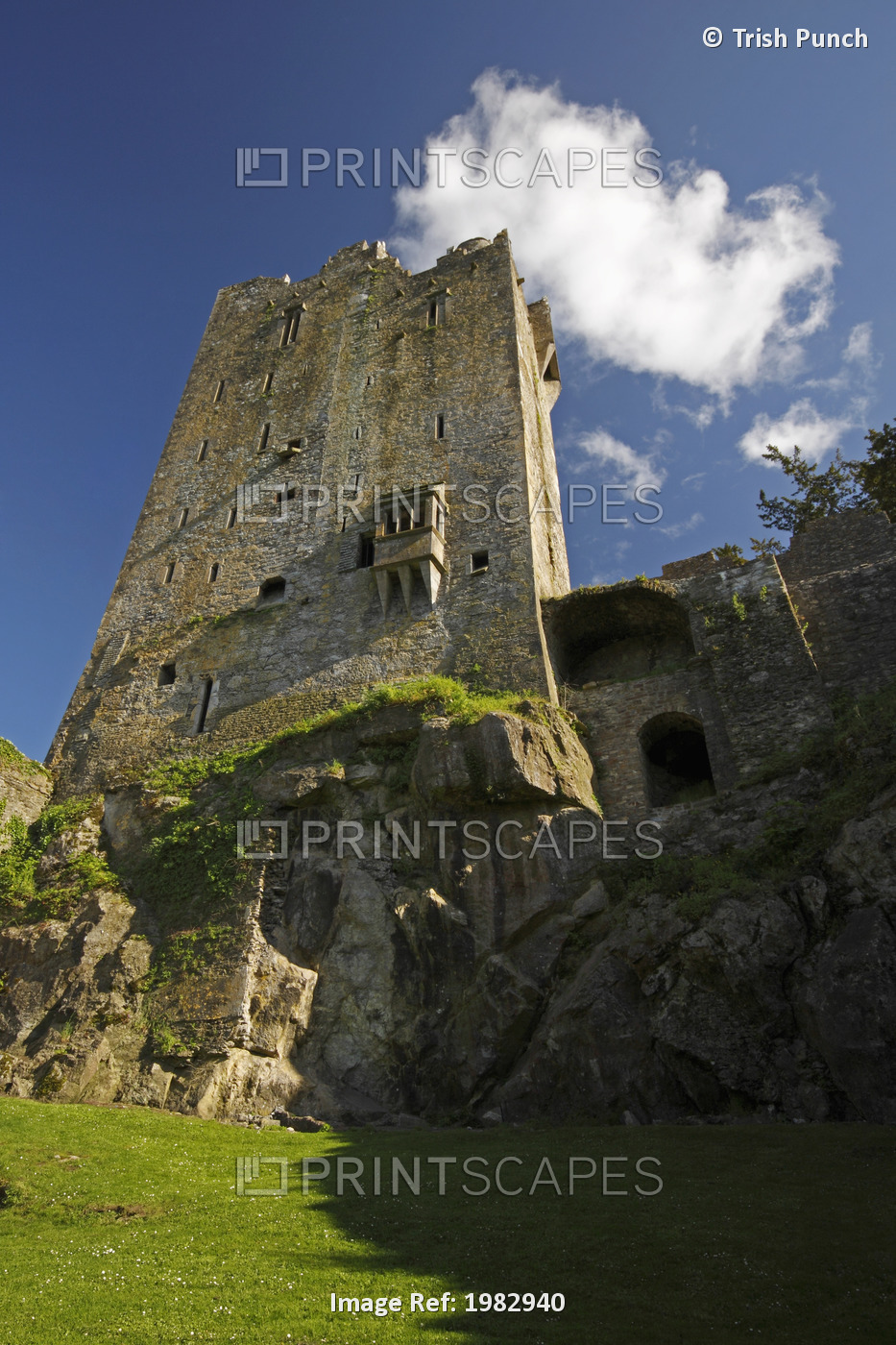 Blarney Castle And Grounds Near Cork City; County Cork, Ireland