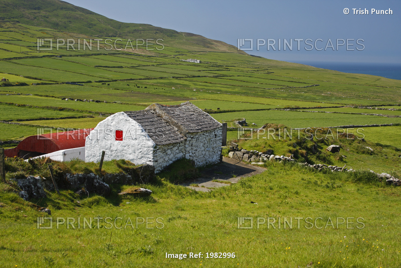 Lone Farmhouse On Mizen Head In West Cork; County Cork, Ireland