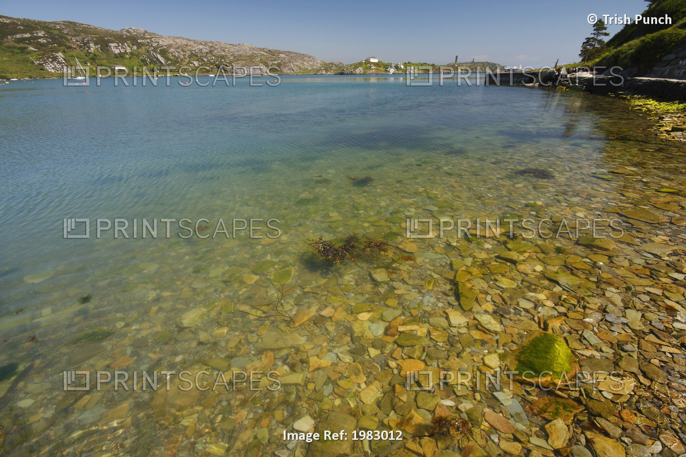 Water Along The Shore In Crookhaven Village In West Cork; Crookhaven, County ...