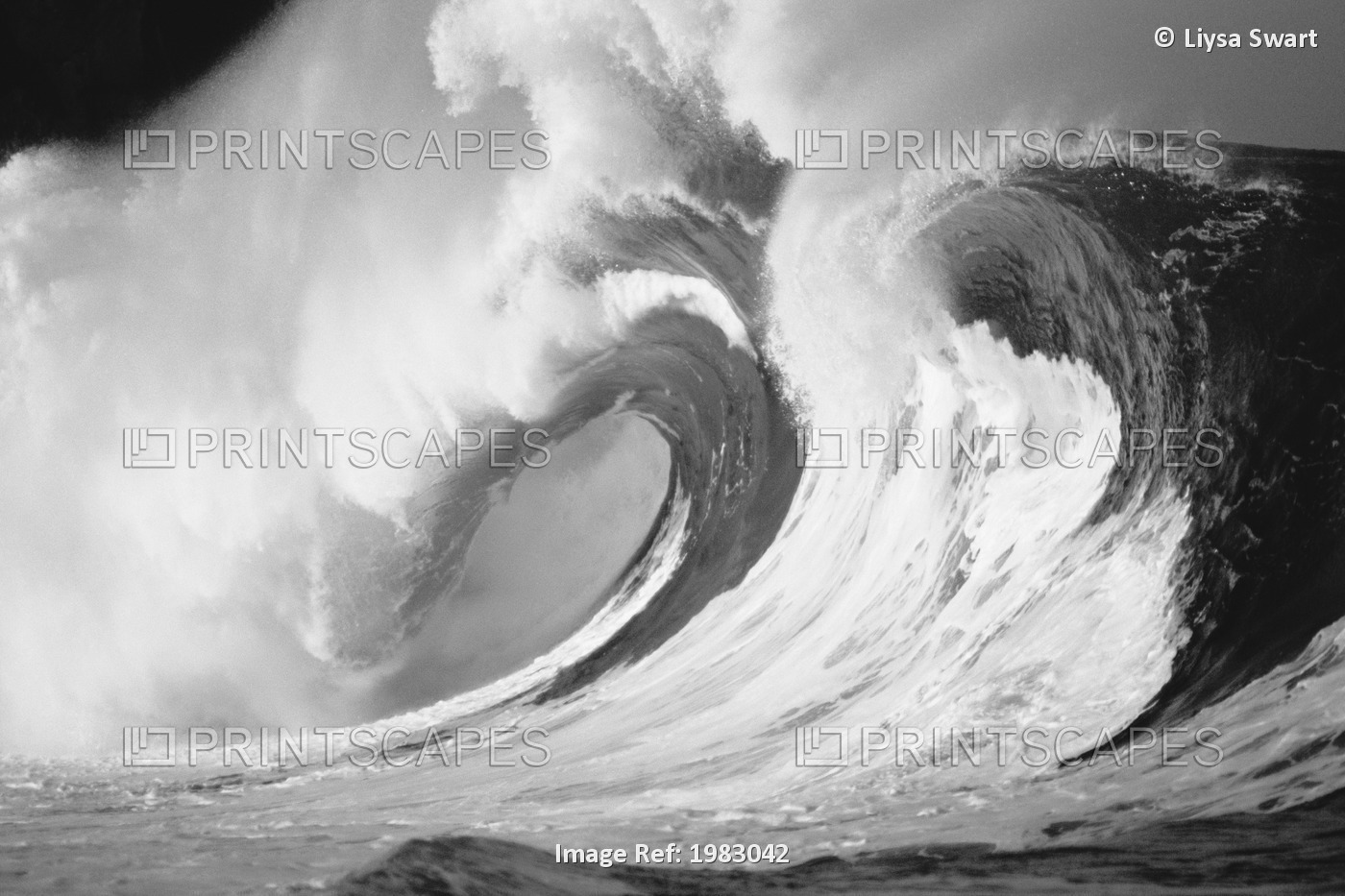 Stormy Ocean Wave Curling Over With Whitewash And A Barrel Forming (Black And ...