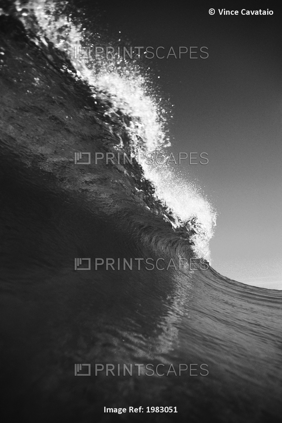 Upward View Of Large Wave (Black And White Photograph).