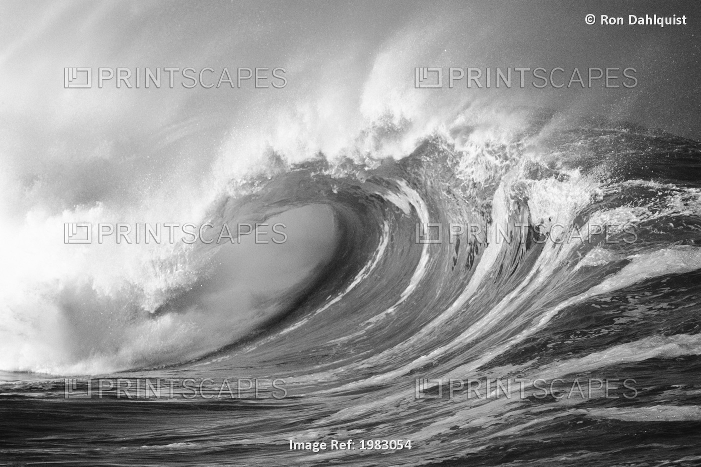 Hawaii, Oahu, North Shore, Large Wave Curling Breaking With White Mist Blowing ...