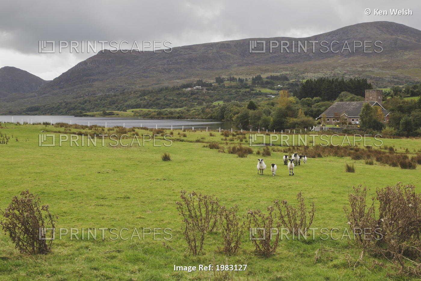 Countryside Beside Lough Quitane; County Kerry, Republic Of Ireland