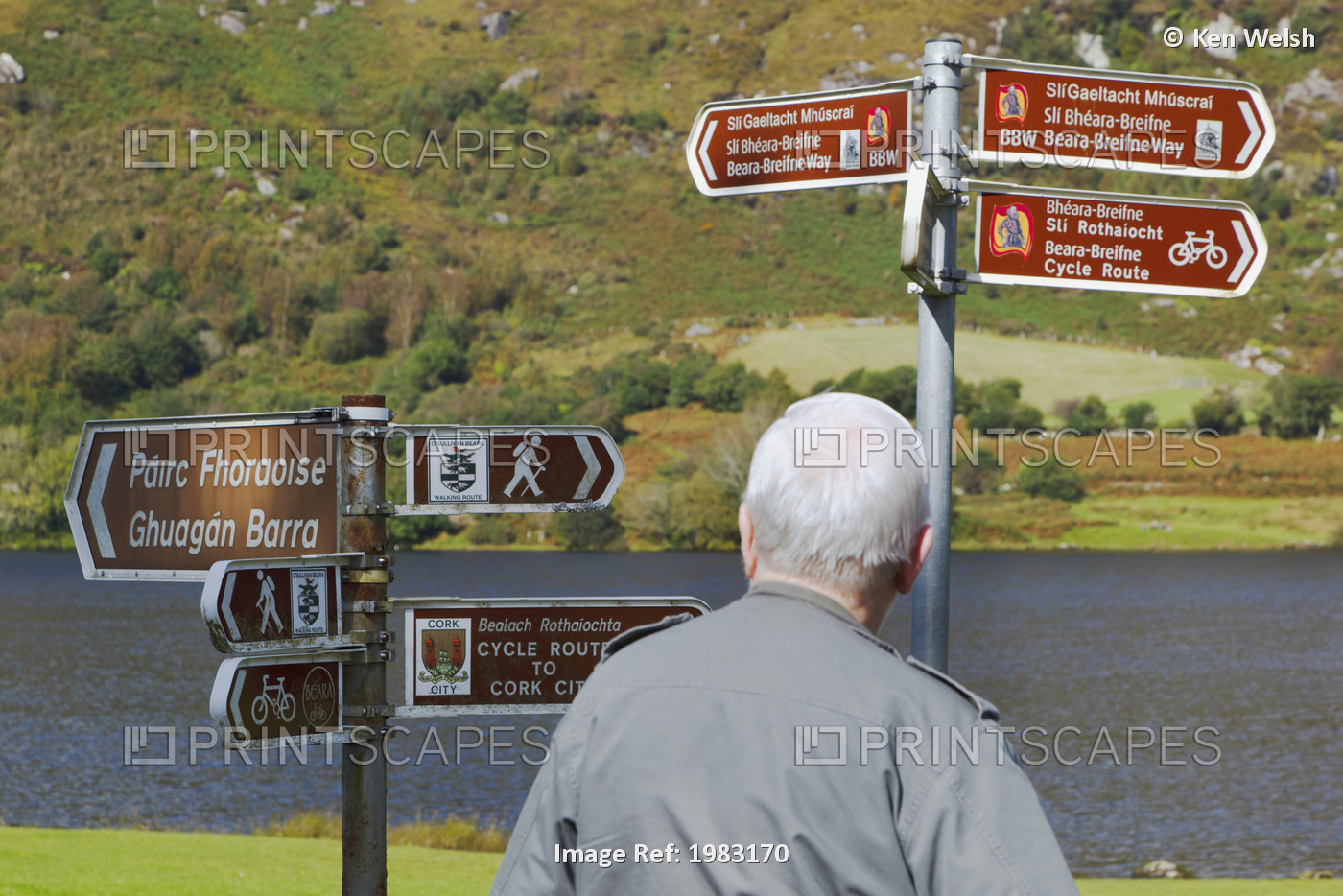 Direction Signs In Irish And English Languages In Gougane Barra Forest Park; ...