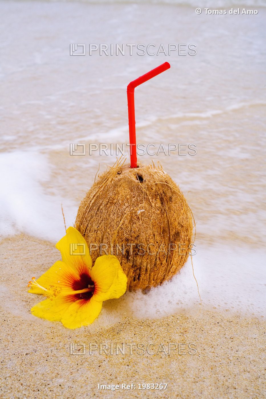 A Coconut Drink With Straw Sticking Out And Flowers On A Tropical Beach.