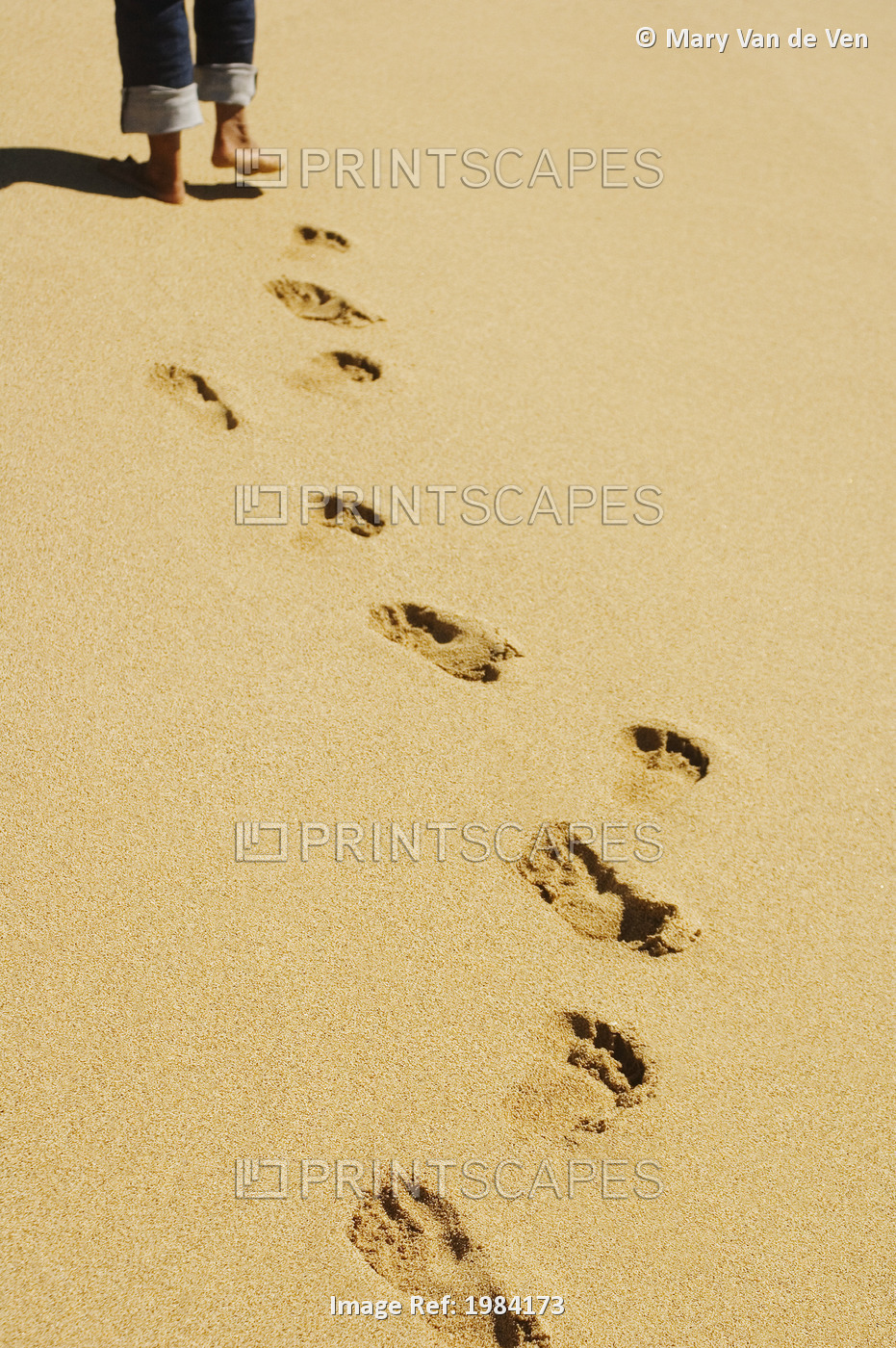 Footprints In Sand With Legs (Wearing Jeans) And Feet At Top Of Picture.