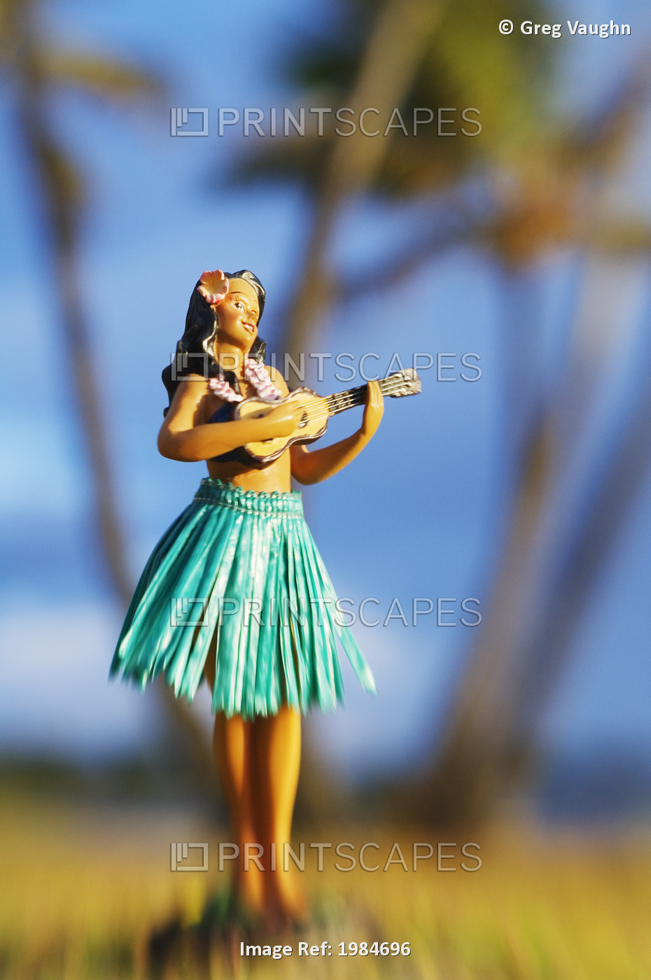 Hawaii, Oahu, Punaluu, Hula Doll On The Grass Beneath Palm Trees.