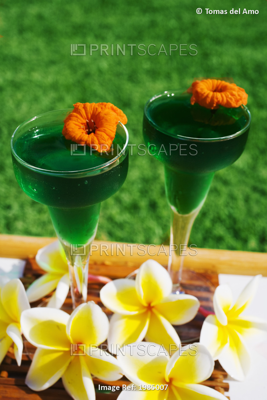 Two Tropical Cocktails Garnished With Flowers In Outdoor Setting.